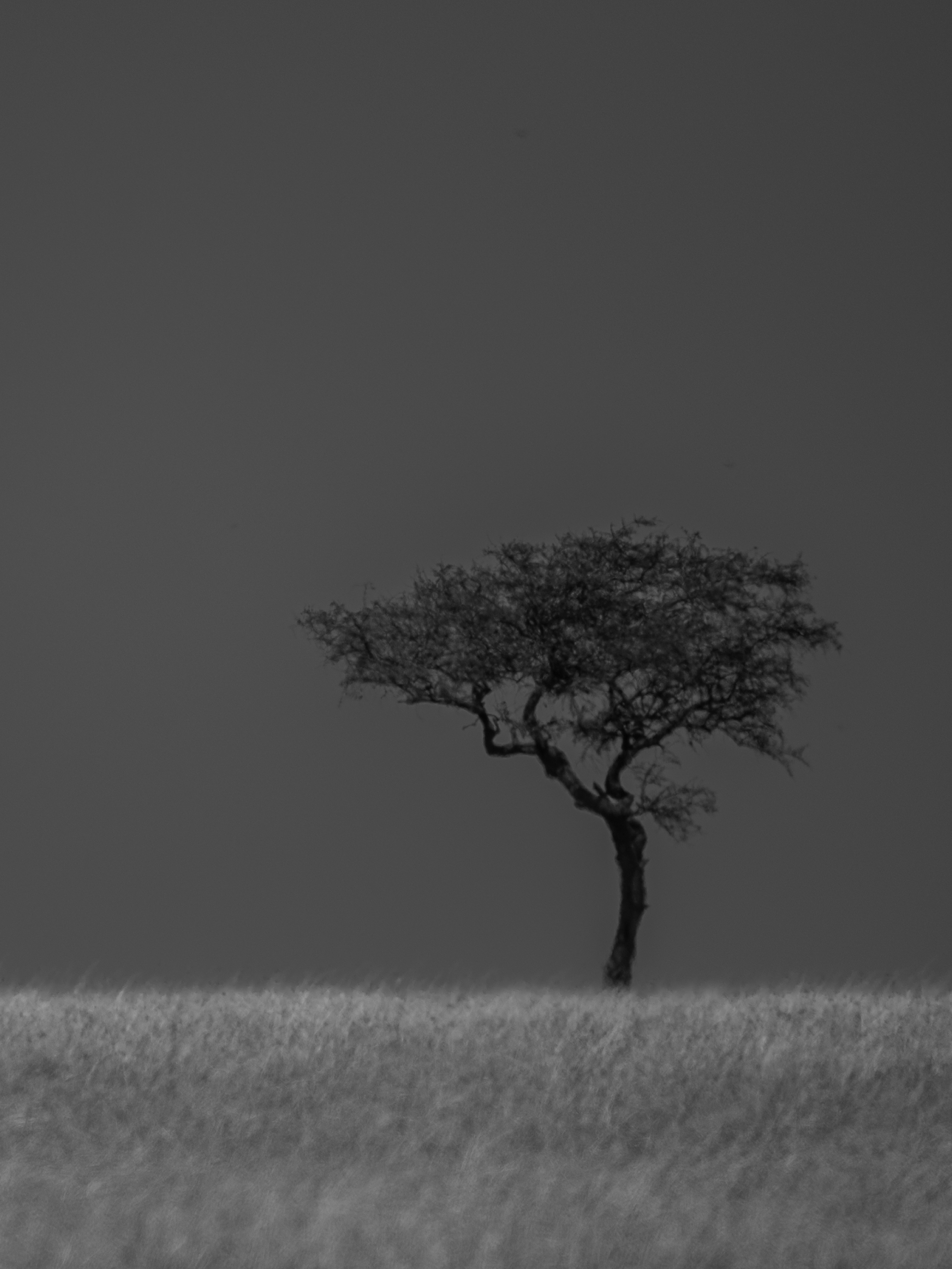 Large Mwema Candle and Ceramic Vessel